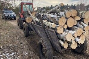 На Поліссі затримали трактор, що віз 51 березу