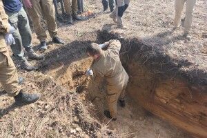 «Волинська трагедія»: на Рівненщині розпочато пошуково-ексгумаційні роботи