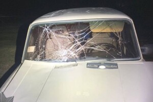 Водія, який збив на Рівненщині матір з двома дітьми, взяли під варту