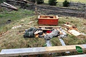 Розгромлені вулики та пошкоджені дерева: показали наслідки «господарювання» ведмедів у Карпатах (Фото)