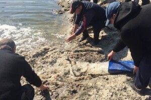 У волинських Ківерцях у дні війни займалися наймирнішою справою (Фоторепортаж) 