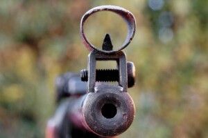 На Тернопільщині чоловік із гвинтівки застрелив кота, який приходив на подвір'я поїсти