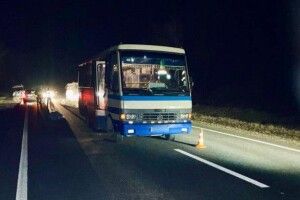 Рейсовий автобус на смерть збив пішохода