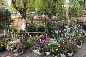 Ще й карантин не закінчився, а Луцький зоопарк вже цвіте і пахне (Фото)