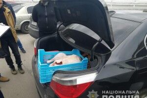 У Білій Церкві троє розбійників, погрожуючи іграшковим АК-47, відібрали в дядька дві індичачі тушки й дали драла на BMW (фото)