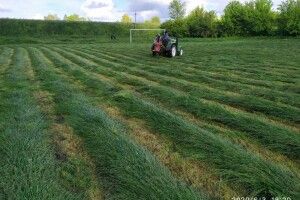 У Звинячому на стадіоні траву скосили, футболістам нову форму купили, але…