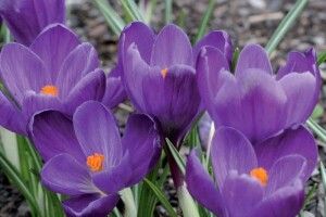 В Україні створили нове дитяче видавництво