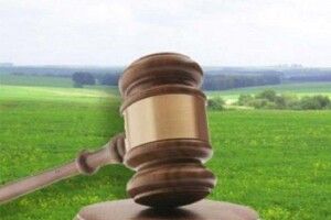 На Волині у власність держави вимагають повернути землі вартістю майже 485 мільйонів гривень