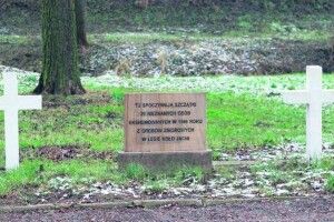Поляки вирішили ексгумувати останки вояків УПА з цвинтаря без українців