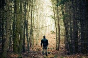 На Рівненщині в лісі добу шукали молодого чоловіка