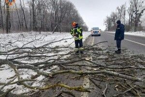На Волині учора негода наробила лиха 