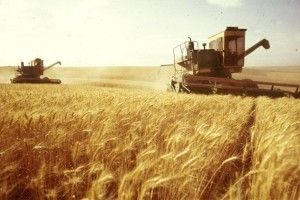На Волині – 17  сільськогосподарських обслуговуючих кооперативів