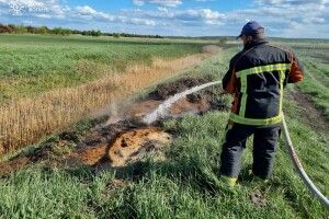 На Волині рятувальники боролися з пожежею торфу (Фото)