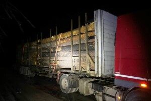 Вантажівку незаконної деревини із Житомирщини затримали на блокпосту на Рівненщині