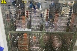 Це вражає: Батько смертельно хворого хлопчика сам створив ліки