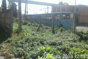 Керівник луцького підприємства електротранспорту отримав попередження