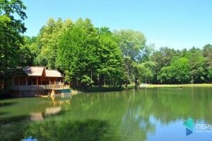 3D-тур: відтепер можна віртуально прогулятись по відомому волинському заказнику 