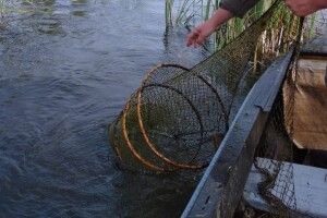 У водоймах Волині виявили браконьєрські сітки
