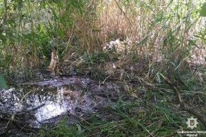 Зниклу напередодні 13-річну дівчинку знайшли зарізаною...