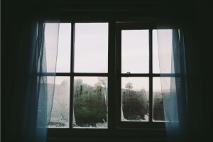 З вікна багатоповерхівки у Львові випала жінка