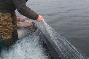 На озерах Волині шукали знаряддя браконьєрів