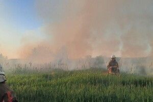 Волинські рятувальники бідкаються через поширення «трав’яних» пожеж