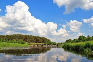 Купання під загрозою: забруднена Турія небезпечна для здоров’я