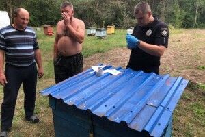 У Шацьку та Підманові невідомі облили мастилом 27 вуликів