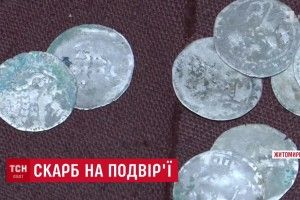 Подружжя пенсіонерів на Житомирщині знайшло скарб на власному городі