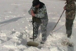 На волинському озері Рогізне рятують карасів та щук від задухи