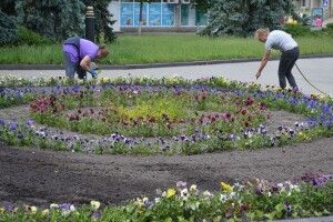 Ковель почали сьогодні активно заквітчувати