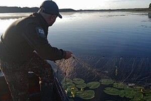 З озера на Волині вийняли майже кілометр браконьєрських пасток