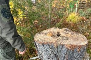 На Волині екоінспекція розпочала перевірку трьох громад