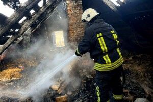 Чому рятувальники мчали у віддалене село на Поліссі