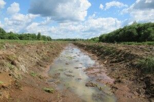 На Волині зловмисники змістили русло... меліоративного рова