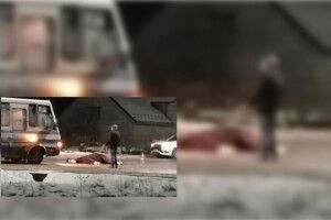 Рейсовий автобус на смерть збив коня