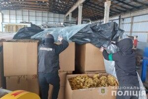 Волинські правоохоронці полюють на нелегальну торгівлю