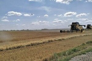 На Волині тривають жнива: скільки врожаю вже намолотили аграрії (Відео)