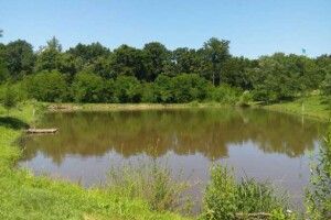 Під Луцьком державі повернули 13 гектарів