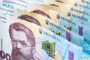 Вовк у овечій шкурі: на Волині «працівниця соцслужб» обікрадала людей