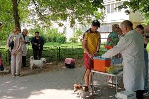 У Луцьку почали безплатно вакцинувати домашніх тварин від сказу