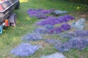 У нацпарку на Волині виявили браконьєрські снасті
