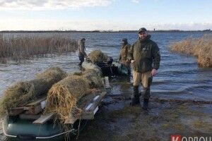 Хай летять на все готовеньке: на Ягодинському озері диким качкам пропонують житло