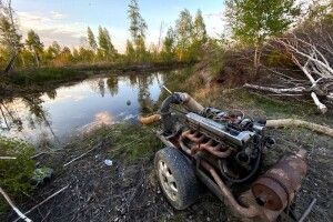 Поліцейські Рівненщини накрили 4-х зловмисників на гарячому