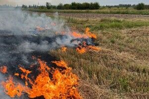 4 пожежі за добу – Волинь у вогні через легковажність місцевих