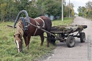 На Волині автомобіль зіткнувся з підводою: постраждав 23-річний хлопець