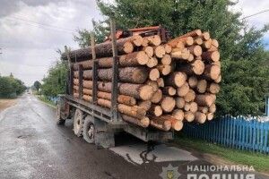 На Рівненщині від вантажівки на ходу відлетіла деталь і влучила в чоловіка (Фото)