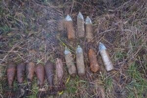 15 боєприпасів знешкодили волинські піротехніки