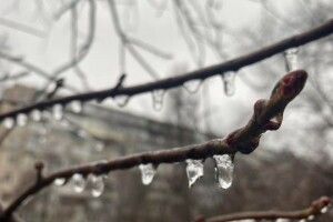 На Волині очікується поступове зниження температури
