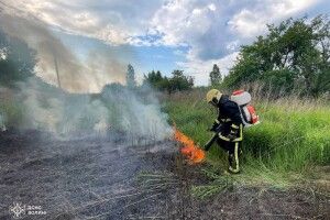 Минулої доби на Волині горіли суха трава і чагарники